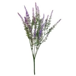 ΛΕΒΑΝΤΑ ΜΠΟΥΚΕΤΟ 5 ΚΛΑΔΙΑ 37cm