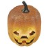 ΚΟΛΟΚΥΘA HALLOWEEN ΜΕ ΦΩΣ 19cm